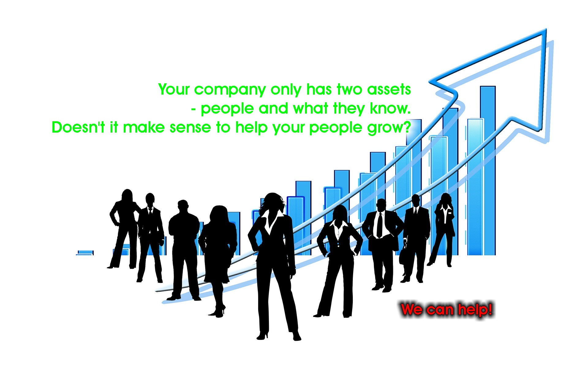 IT and Management training